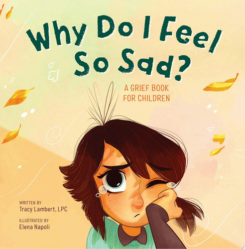 Why Do I Feel So Sad? A Grief Book for Children