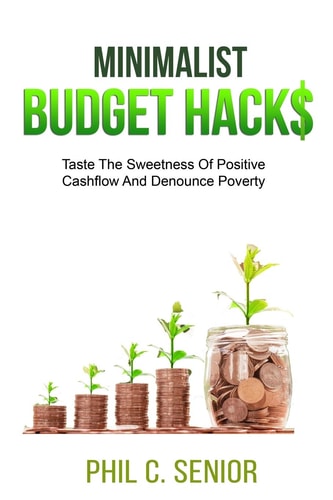 Minimalist Budget Hacks Taste The Sweetness Of Positive Cashflow And Denounce Poverty