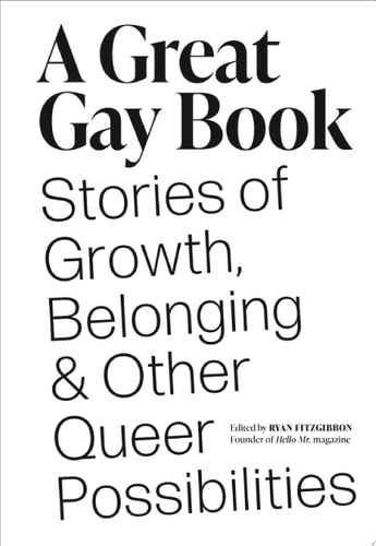 A Great Gay Book