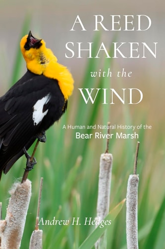 A Reed Shaken with the Wind A Human and Natural History of the Bear River Marsh