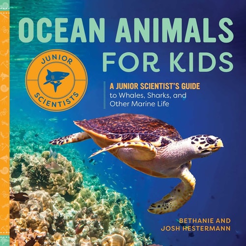 Ocean Animals for Kids A Junior Scientist's Guide to Whales, Sharks, and Other Marine Life