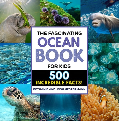 The Fascinating Ocean Book for Kids 500 Incredible Facts!