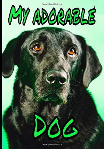 My adorable dog: Perfect notebook for people who love man's best friend and want to take care of their beloved dog