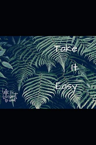 Take it easy life is too short to wait: Notebook/120pages/6×9/life