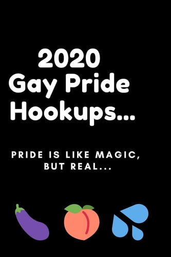 2020 Gay Pride Hookups... 6x9 2020 LGBT Pride Hookups Planner, Funny Diary Or Journal (Cute Gift for Gay Guys)