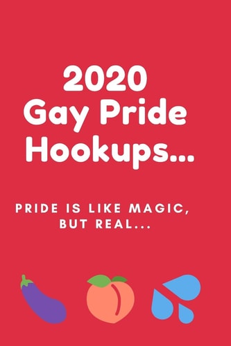2020 Gay Pride Hookups... 6x9 2020 LGBT Pride RED Hookups Organizer, Diary Or Journal (Cute Gift for Gay Guys)