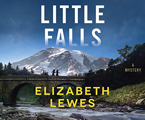 Little Falls: A Novel