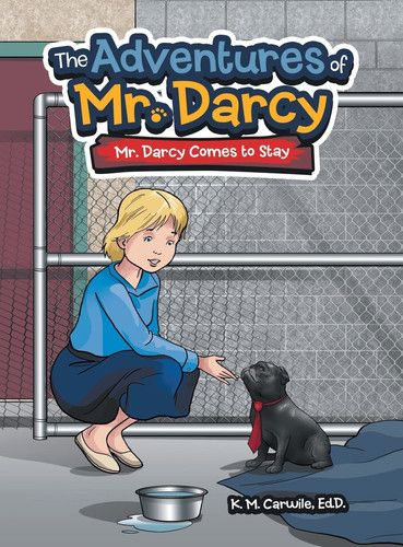 The Adventures of Mr. Darcy Mr. Darcy Comes to Stay