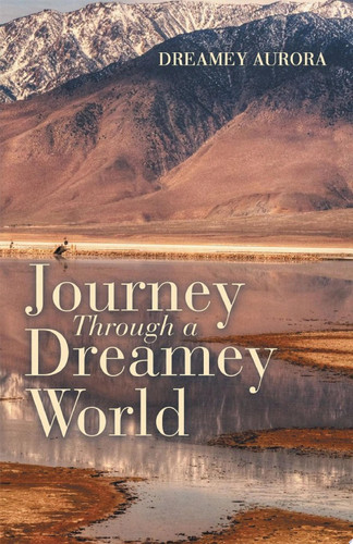 Journey Through a Dreamey World
