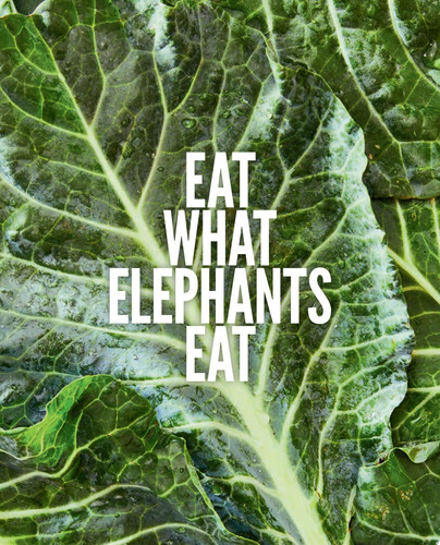 Eat What Elephants Eat Vegan Recipes for a Strong Body and a Gentle Spirit (A Cookbook)
