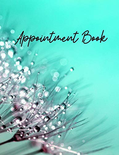 Appointment Book Appointment Books for Hair Salons, Nail Salons, Realtor Planner, Undated 52 Weeks Monday to Sunday with 8AM - 9PM Times Daily and Hourly Schedule 15 Minute Increments, 8. 5 X 11