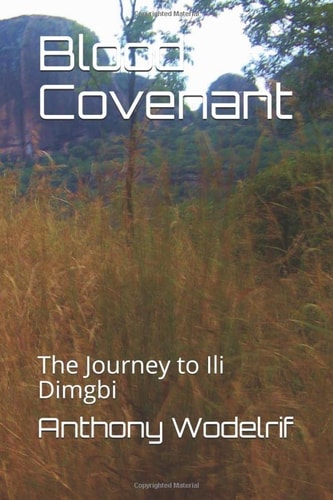Blood Covenant The Journey to Ili Dimgbi