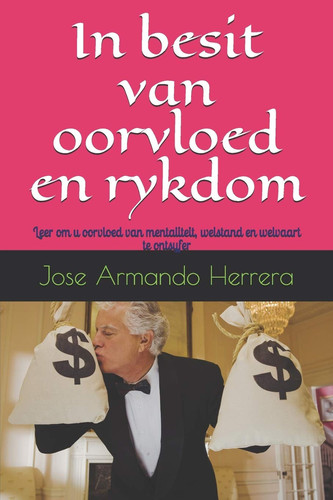 In Besit Van Oorvloed en Rykdom Leer Om U Oorvloed Van Mentaliteit, Welstand en Welvaart Te Ontsyfer