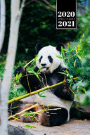 Panda Bear Week Planner Weekly Organizer Calendar 2020 / 2021 - Green Breakfast Cute Wildlife Animal Bullet Journal Notebook Diary in 6" X 9" Inch Pocket Size