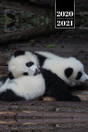 Panda Bear Week Planner Weekly Organizer Calendar 2020 / 2021 - Sweet Babies Cute Wildlife Animal Bullet Journal Notebook Diary in 6" X 9" Inch Pocket Size