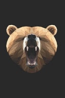Polygon Bär Notizbuch DIN A5 Gepunktet 120 Seiten Für Schüler & Studenten Als Geschenkidee Als Planer Tagebuch Notizheft Notizblock