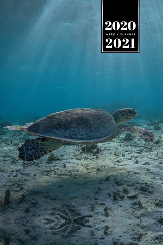 Sea Turtle Tortoise Terrapin Week Planner Weekly Organizer Calendar 2020 / 2021 - Light Rays Through Water Cute Wildlife Animal Pet Bullet Journal Notebook Diary in 6" X 9" Inch Pocket Size