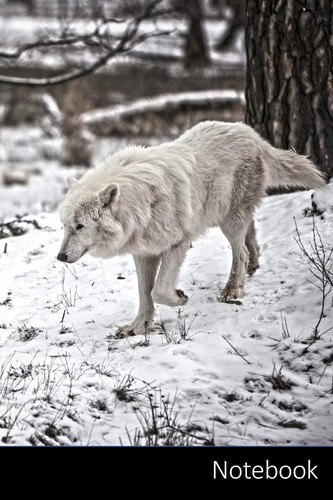 Notebook: Polarwolf /  /  /  - 6 x 9(15.24 x 22.86 cm)110