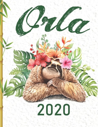 Orla 2020 Planner