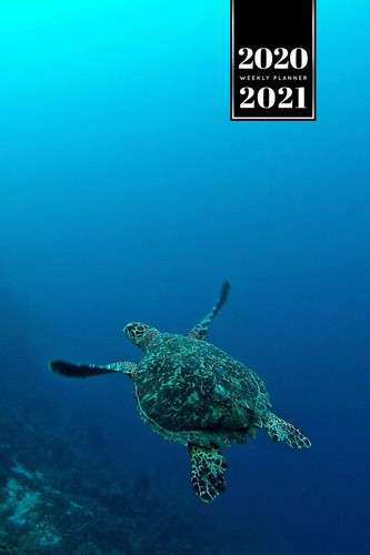 Sea Turtle Tortoise Terrapin Week Planner Weekly Organizer Calendar 2020 / 2021 - Deep Sea Cute Wildlife Animal Pet Bullet Journal Notebook Diary in 6" X 9" Inch Pocket Size