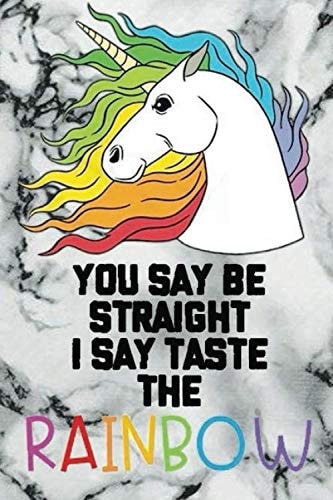 YOU SAY BE STRAIGHT, I SAY TASTE the RAINBOW Journal Paper Notebook Funny Office Work Notebook for Taking Meetings, Blank Lined Journal Notebook for Coworker, Boss, Employee. 100 Pages 6 X 9