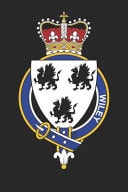Wiley Wiley Coat of Arms and Family Crest Notebook Journal (6 X 9 - 100 Pages)