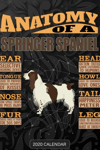 Anatomy Of A English Springer Spaniel 2020 Calendar