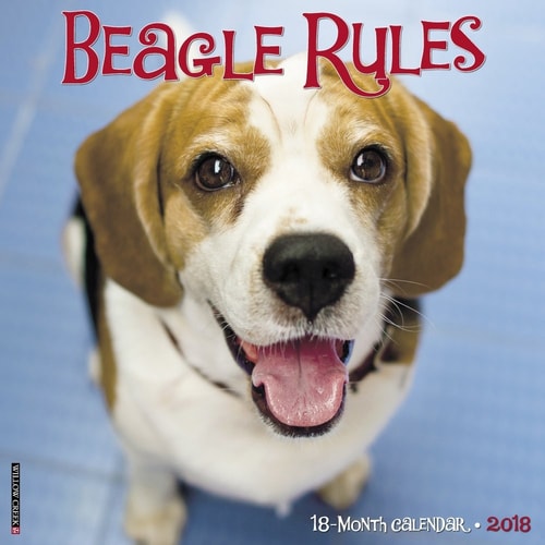 Beagle Rules 2018 Calendar