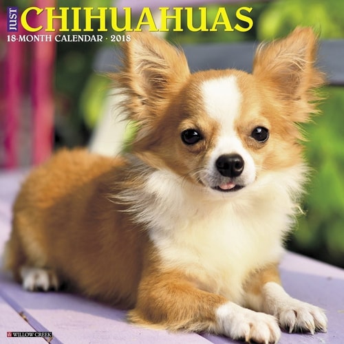 Just Chihuahuas 2018 Calendar
