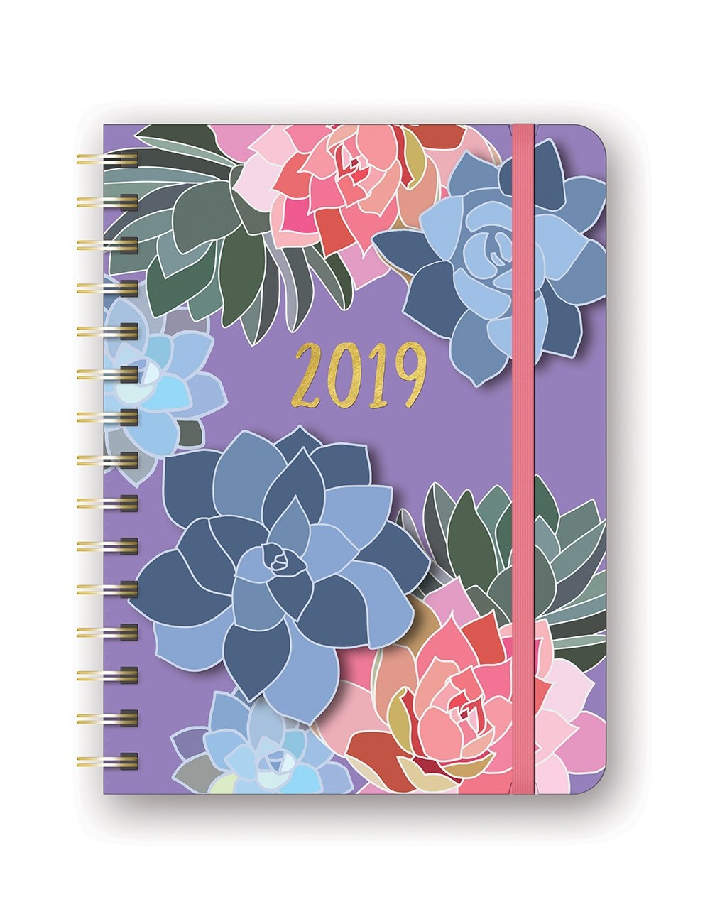 Orange Circle Studio 2019 Deluxe Compact Flexi Planner, August 2018 - December 2019, Succulent Paradise