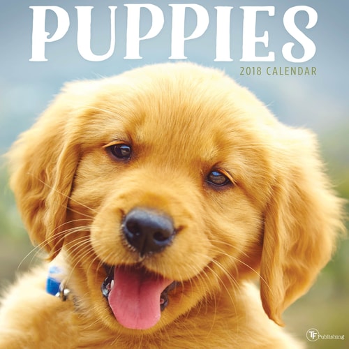 2018 Puppies Wall Calendar