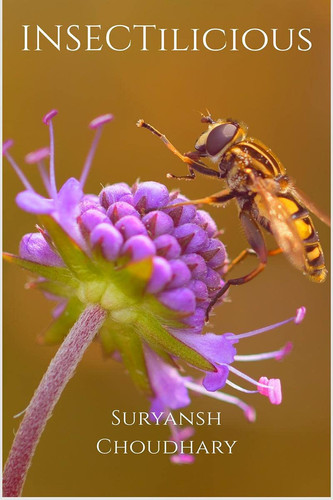 INSECTilicious