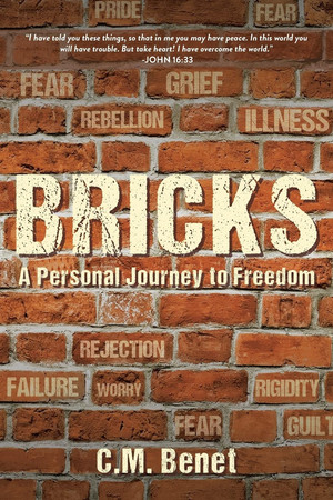 Bricks A Personal Journey to Freedom