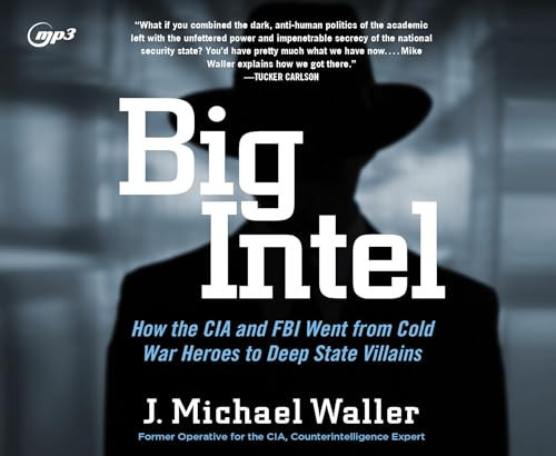 Big Intel: How the CIA Went from Cold War Heroes to Deep State Villains