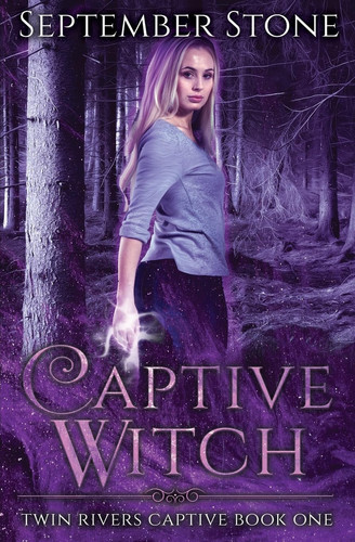 Captive Witch A Reverse Harem Urban Fantasy Adventure