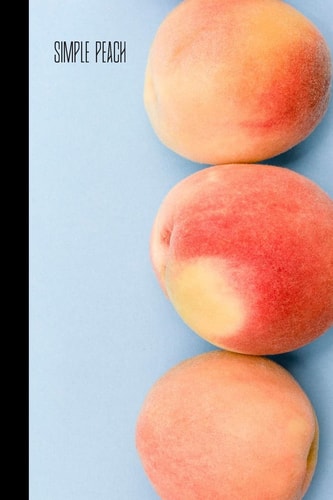Simple Peach Small Lined Peach Notebook / Travel Journal to Write in (6'' X 9'') 120 Pages