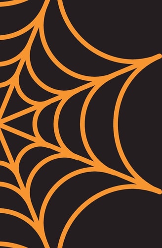 Spooky Halloween Notebook Spider Web Notebook