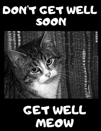Don't Get Well Soon Get Well Meow 100 Easy Sudoku Puzzle Large Print Book - Cute Kitten Funny Get Well Gift For Women After Surgery