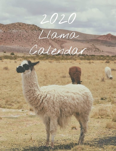 2020 Llama Calendar Monthly 2020 Llama Images Calendar with Large Image and Calendar Dates, Spaces to Record Income, Expenses, Important Dates, Goals, Accomplishments, and Notes, Use It As a Book Or Pull Out the Calendar Pages to Hang