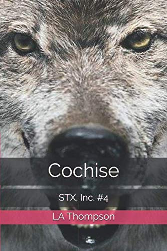 Cochise: STX, Inc. #4