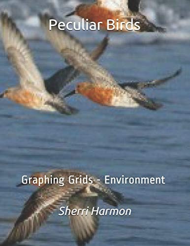 Peculiar Birds Graphing Grids - Environment