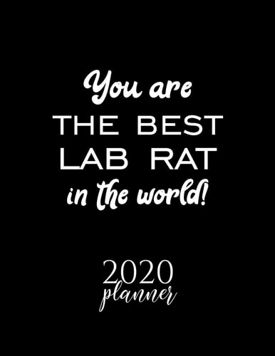 You Are the Best Lab Rat in the World! 2020 Planner Nice 2020 Calendar for Lab Rat - Christmas Gift Idea for Lab Rat - Lab Rat Journal for 2020 - 120 Pages 8. 5x11 Inches