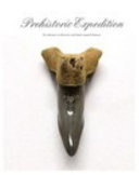 Prehistoric Expedition