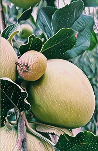 Weekly Planner: Apples on My Pretty Apple Tree