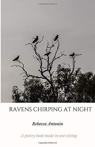 Ravens Chirping at Night
