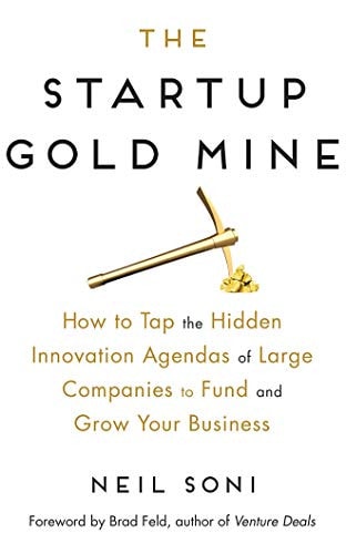The Startup Gold Mine: How to Tap the Hidden Innovation Agendas of Large Companies to Fund and Grow Your Business
