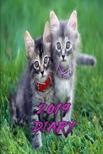 2019 Diary Cat 2019 Diary Cute Daily Planner