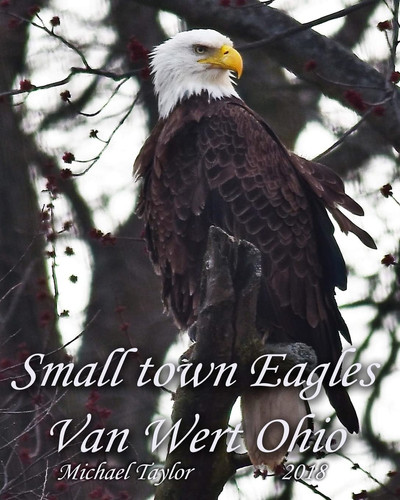 Small Town Eagles Van Wert Ohio