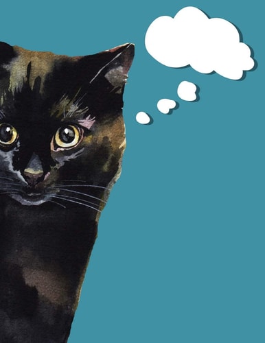 Undated Planner Watercolor Tabby Cat with DIY Thought Bubble Monthly Large Format 8. 5 X11 Black Kitty Life Scheduler with Daily Habit Tracker and Motivational Quotes
