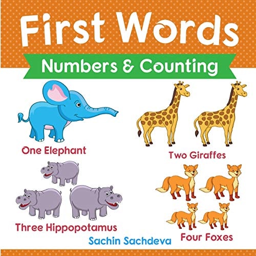 First Words (Numbers and Counting) Early Education Book of Learning Numbers and Counting with Pictures for Kids